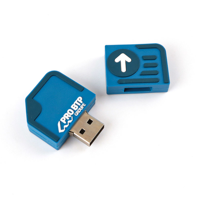 2GB 사용자 지정 USB 플래시 드라이브 10 년 데이터 저장 무료 및 빠른 예술작품 사용자 정의