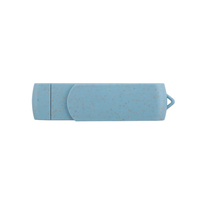 재활용 가능한 재료 데이터 저장용으로 C U 타입 디스크를 가진 USB 플래시 드라이브