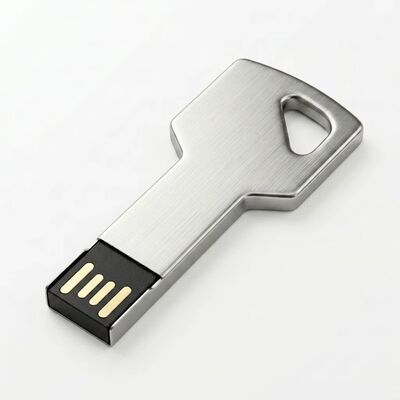 암호화 가능 아연 합금 키 USB 플래시 드라이브 맞춤형 디자인 환영 내구성이 뛰어난 보안 저장 장치 비즈니스에 이상적