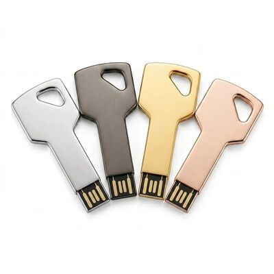 암호화 가능 아연 합금 키 USB 플래시 드라이브 맞춤형 디자인 환영 내구성이 뛰어난 보안 저장 장치 비즈니스에 이상적