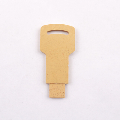 가치없고 플라스틱 128gb 플래쉬 드라이브, 재활용 가능 물질 Usb 2.0 메모리 스틱